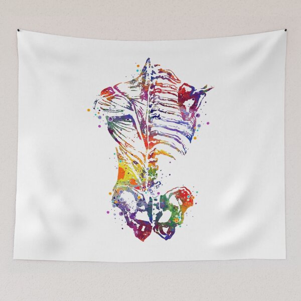 Item preview, Human Back Bones Watercolor Anatomy designed and sold by LotusGifts.