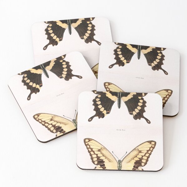 Item preview, Vintage ButterFly Diagram designed and sold by coolwriter123.