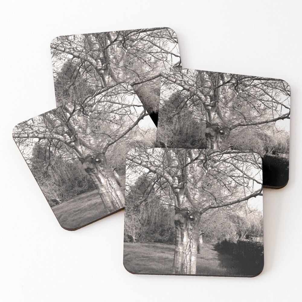 Item preview, Coasters (Set of 4) designed and sold by CoastPicsDesign.