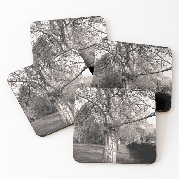 Item preview, Tree designed and sold by CoastPicsDesign.