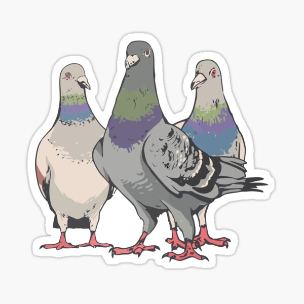 Funky Little Pigeon Sticker for Sale by sillysellsstuff