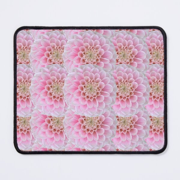 Item preview, Pink Dahlia Flower Still Life Floral Photography designed and sold by CottoVerdi.