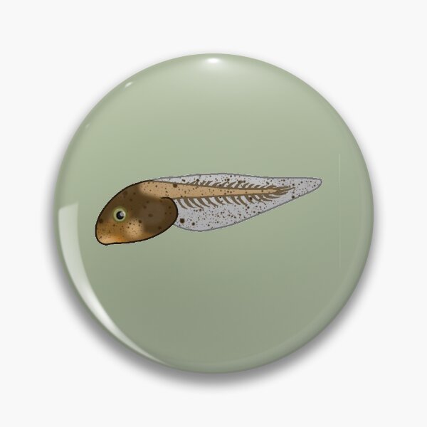 Item preview, Tadpole designed and sold by Gold-Tigereye.