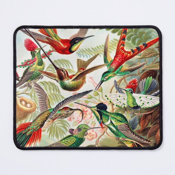 Artikelvorschau, Trochilidae-Kolibris (Kolibris) entworfen und verkauft von ChelleCreate.