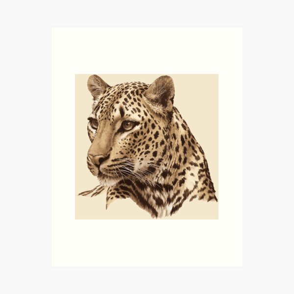 The Front Asian Leopard Looks Away Art Print