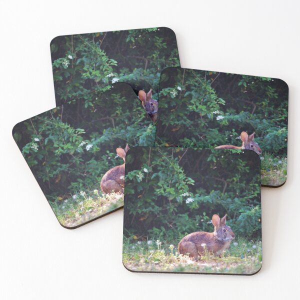 Item preview, Eastern Cottontail Rabbit designed and sold by Cynthia48.