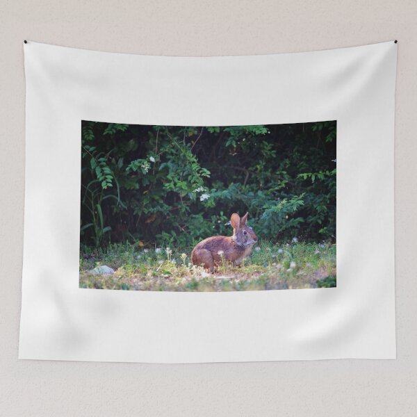 Item preview, Eastern Cottontail Rabbit designed and sold by Cynthia48.