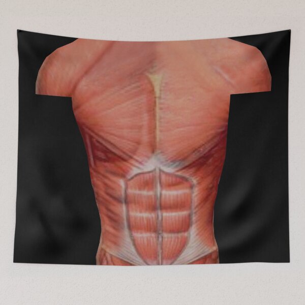 Item preview, Muscle Chest Overlay designed and sold by janraydesigns.