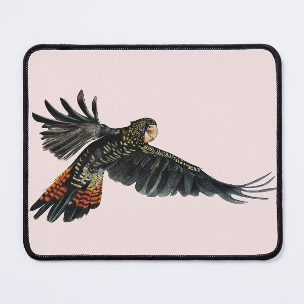 Item preview, Red tail cockatoo in flight designed and sold by Old Friends Pet Portraits.