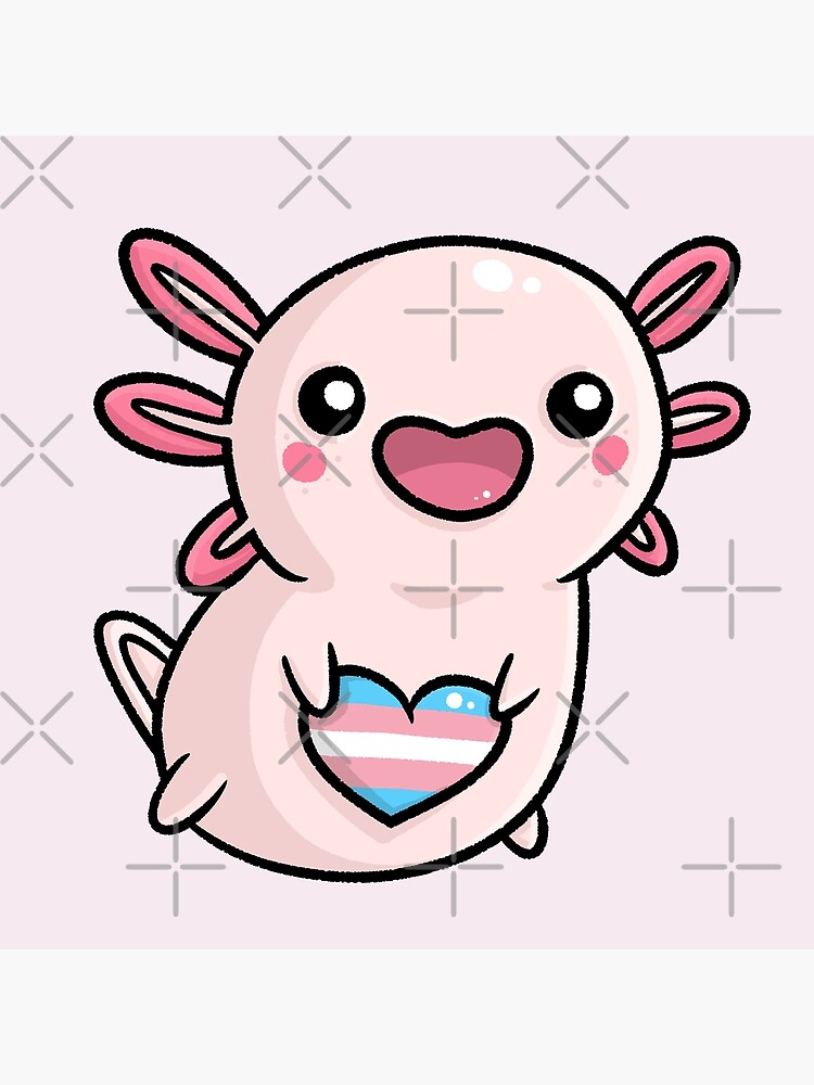 Cute Axolotl Transgender Queer Flag Banner Lgbtq Canvas Print By Nyn4 Redbubble 4928