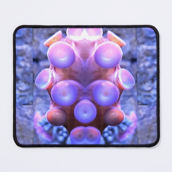 Item preview, Octopus Tree designed and sold by Dead-Moroz.