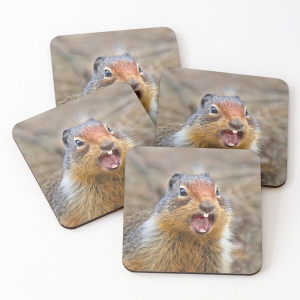 Item preview, ARE YOU NUTS?  designed and sold by Alex Preiss.