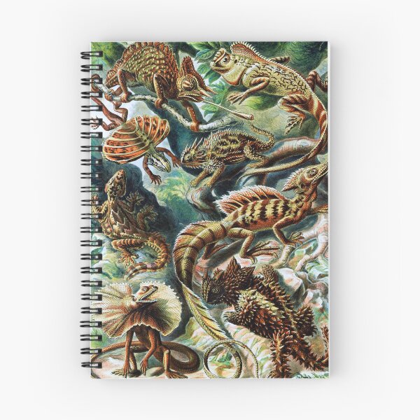Item preview, Lacertilia–Eidechlen (Lizards) designed and sold by ChelleCreate.