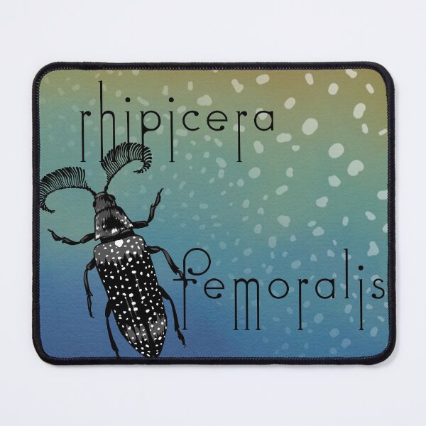 Item preview, Rhipicera femoralis - feather horned beetle designed and sold by thevexedmuddler.