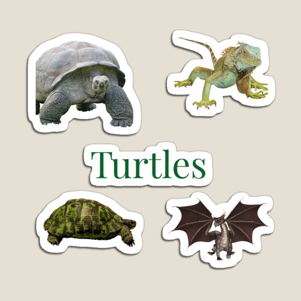 Item preview, Turtle stickers designed and sold by Thefatladiesfirearmsjourney .