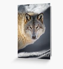 Timber Wolf Christmas Card - Spanish - 22 Greeting Card