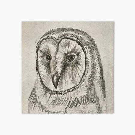 Item preview, Barn Owl designed and sold by boho-creative.