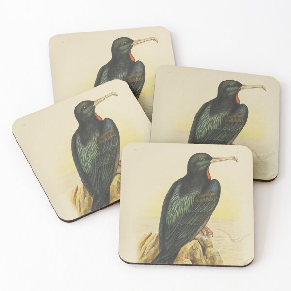 Item preview, Lesser Frigate bird designed and sold by thecapgunbandit.