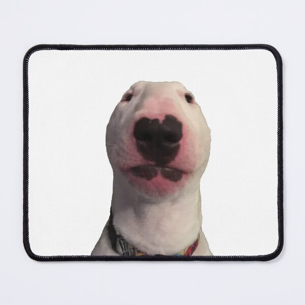Item preview, @PupperNelson: Photo Meme Face designed and sold by PupperNelson.