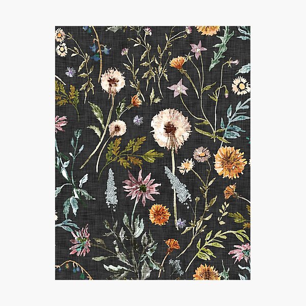 Wylde Fleur (black) Photographic Print