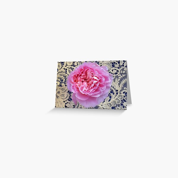 Pink Rose & Lace Greeting Card