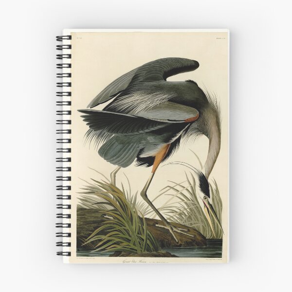 Item preview, Great Blue Heron designed and sold by thecapgunbandit.