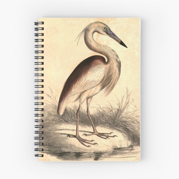 Item preview, Indian pond Heron designed and sold by thecapgunbandit.