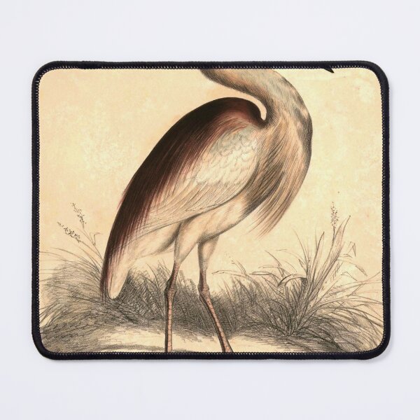 Item preview, Indian pond Heron designed and sold by thecapgunbandit.