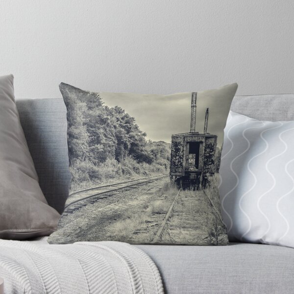 Item preview, Abandoned burnt out train cars designed and sold by peanutroaster.