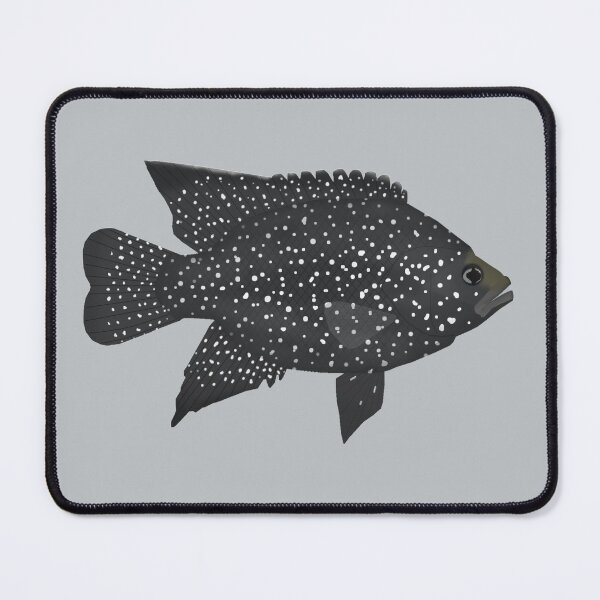 Item preview, Black Diamond Cichlid designed and sold by fishfolkart.