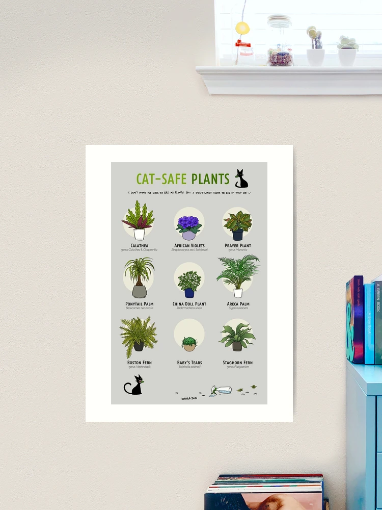 Cat-Safe Plants II" Art Print for Sale by kiriska | Redbubble