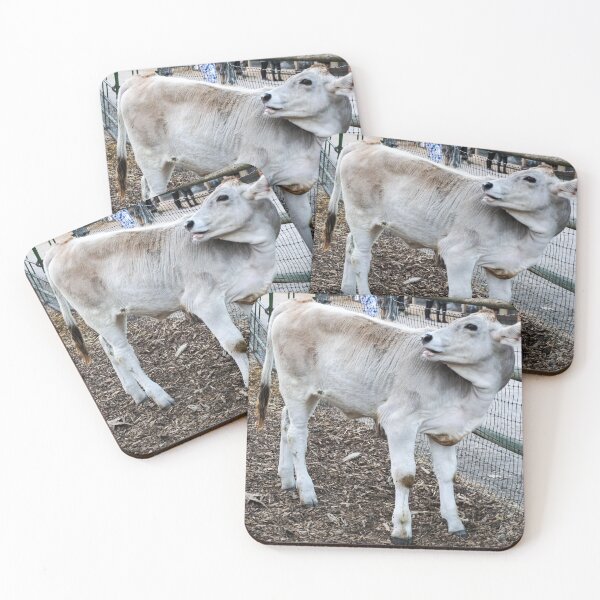 Item preview, Cute Cow designed and sold by MissJades.
