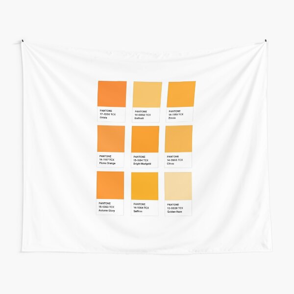 Pantone Buff Orange  Pantone orange, Pantone colour palettes, Pantone color