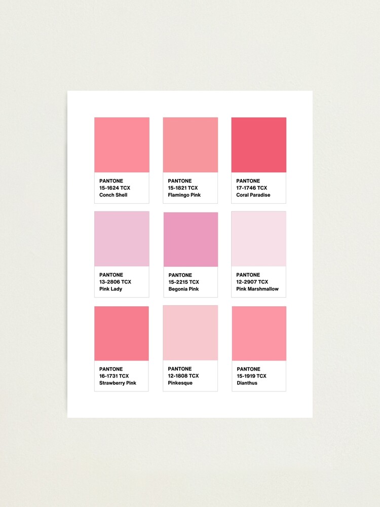 Pantone Whisper Pink #pantone #color #blush  Pantone palette, Pantone  colour palettes, Pantone