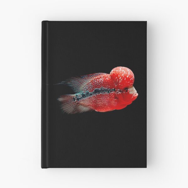 Item preview, Luohan Flower horn Fish designed and sold by zakugan.