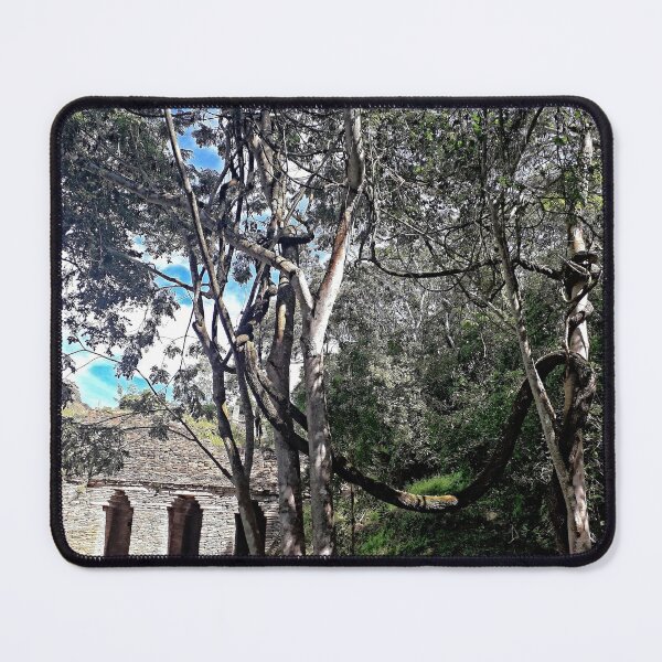 Item preview, MS Ruinas Arqueológicas Toniná Chiapas Mexico 02.© designed and sold by OmarHernandez.