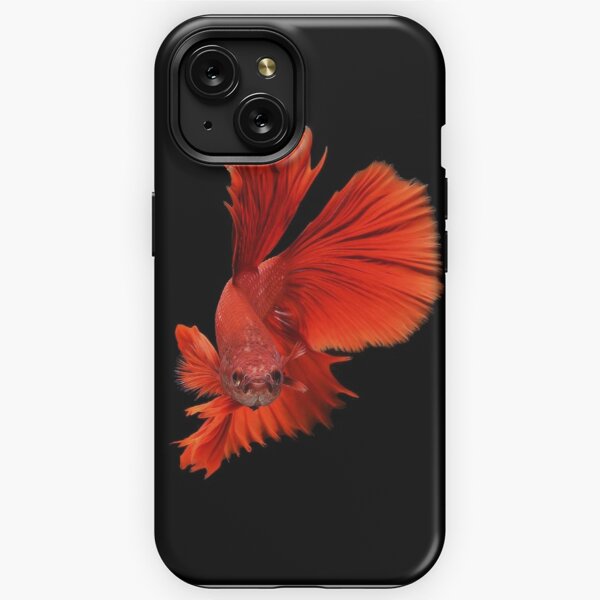 Red Fighting Fish