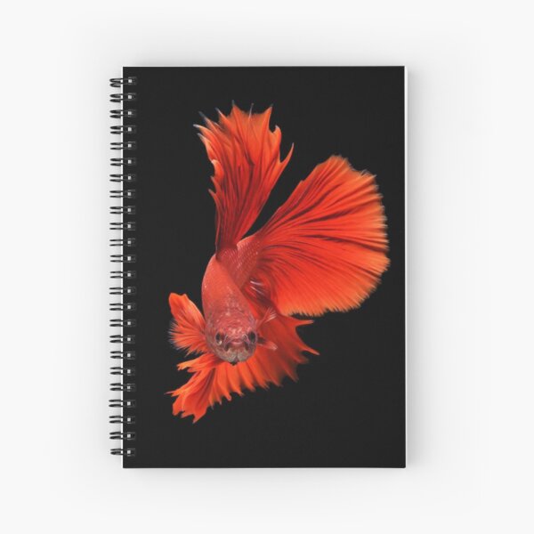 Item preview, Red Fighting Fish designed and sold by zakugan.