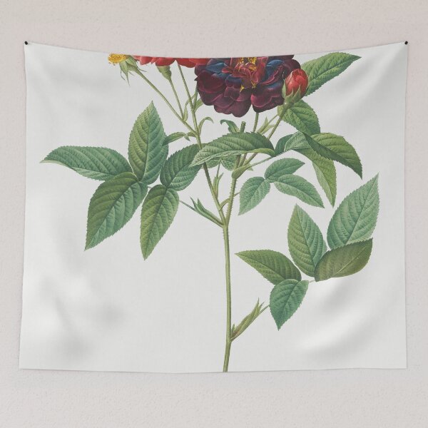 Item preview, Les Roses by Pierre-Joseph Redouté designed and sold by EsotericBotanic.