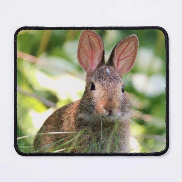 Item preview, Contemplation designed and sold by Rosie2019.