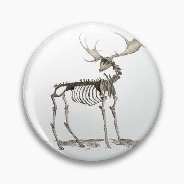 Item preview, Deer's bone structure designed and sold by ChicagoDixon.