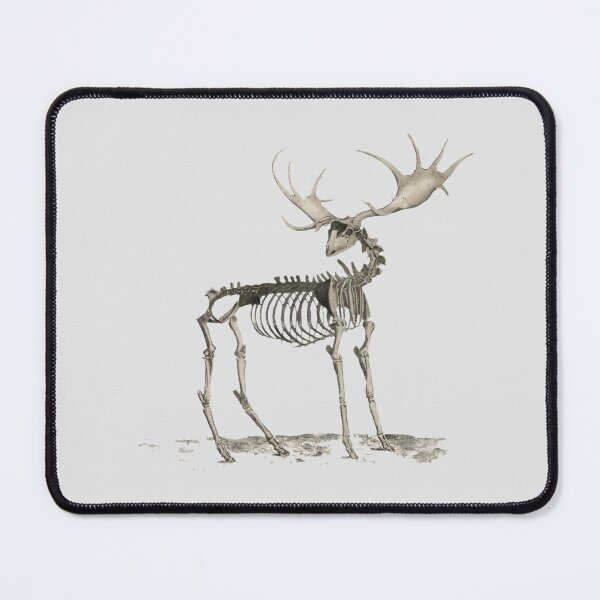 Item preview, Deer's bone structure designed and sold by ChicagoDixon.