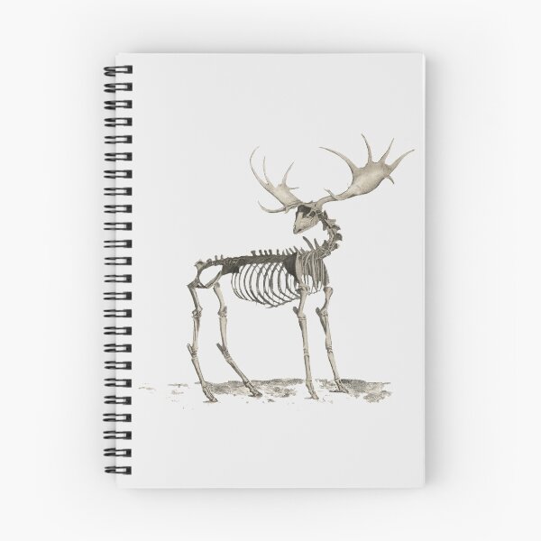 Item preview, Deer's bone structure designed and sold by ChicagoDixon.
