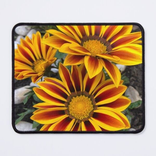 Item preview, Yellow Gazania Flowers designed and sold by Haley Lin.