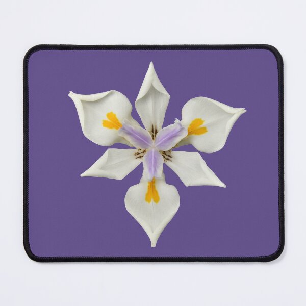 Item preview, African Iris on violet designed and sold by quentinjlang.