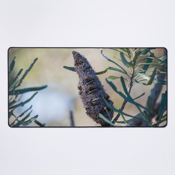 Item preview, Banksia Nut Looking Like A Pine Cone designed and sold by Jason Gilbert.