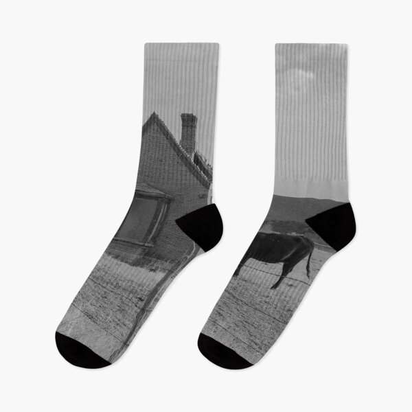 Item preview, Cow In An Abandoned Field In Black And White designed and sold by MissJades.