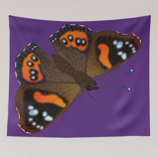 Item preview, Red Admiral designed and sold by Kererū Brewing.