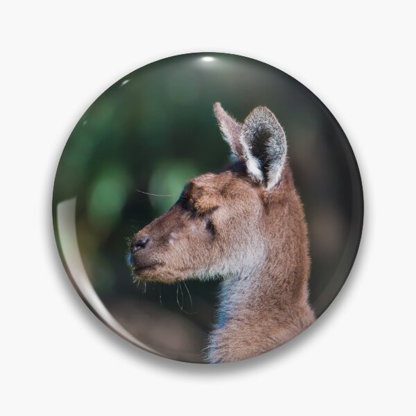 Item preview, A captain kangaroo jack jumps with kangaroos designed and sold by Jason Gilbert.