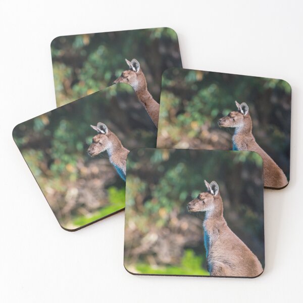 Item preview, A captain kangaroo jack jumps with kangaroos designed and sold by Jason Gilbert.